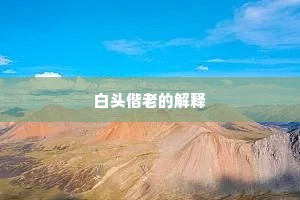 白头偕老的解释