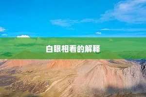 白眼相看的解释