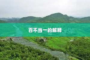 百不当一的解释
