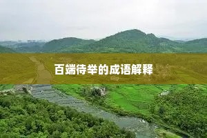 百端待举的成语解释