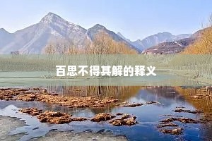 百思不得其解的释义