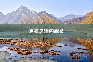 百岁之盟的释义