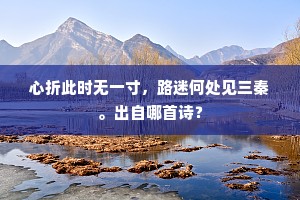 寡妇得丹穴，礼抗万乘君。出自哪首诗？
