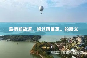 胡须非智证，真才方显学——反思表象与本质的错位