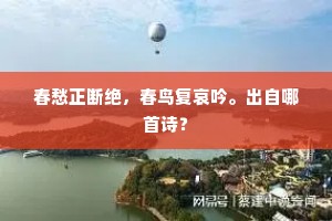 大动公惯的释义