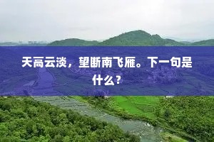 静默之光，炽烈于心——萤火虫与知了的爱情启示录