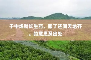 大方之家的释义