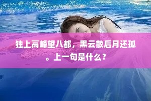 蜀魄有怀终陨血，寒鸦无力欲填河。上一句是什么？
