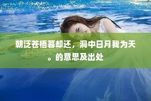 大海捞针的释义