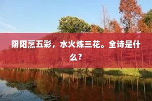 盲目之舟，逆风之旅：人生导航的深刻启示