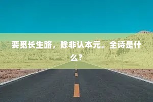 初绽情愫，山谷风起，心海翻涌的哲思之旅