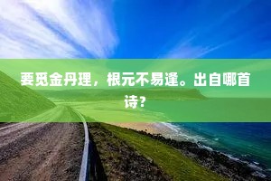 从猫步轻绕到心灵依偎，人生旅途中的温柔哲学