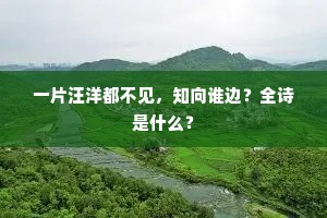 生命微光，在熄灭前，照亮你的世界