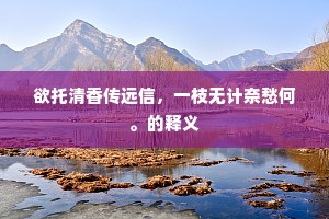 灵魂之花的错位绽放，爱，不应仅是虚荣的点缀