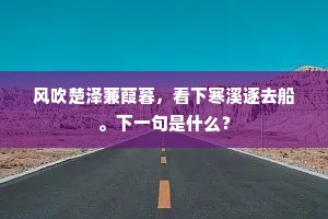 温柔回响，在彼此的镜像中，共绘灵魂的色彩