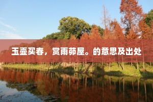 月影未至，心海自渡，承诺背后的生活哲学