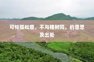 雨幕下的独白，暗恋，是未寄出的情书与无声的交响