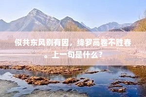 引言，时光之镜，遗忘的芳华