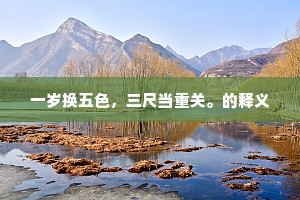 穿越人海，唯你共鸣——在孤独深处寻得那份只是你