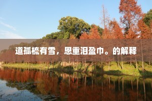 大肆挥霍的成语解释