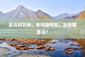 怅荪桡轻过，搴未盈把。的解释