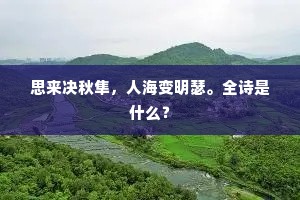 大智如愚的成语解释