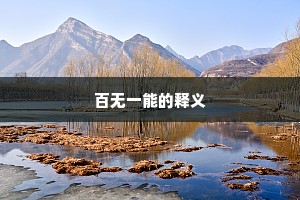 百无一能的释义