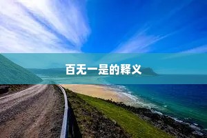 百无一是的释义