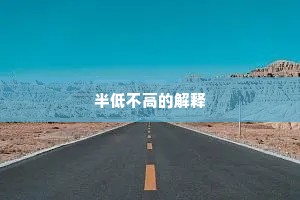 半低不高的解释