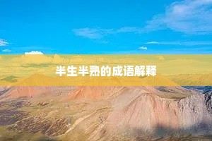 半生半熟的成语解释