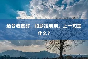 又似深山朽石上，古病松枝挂铁锡。的解释