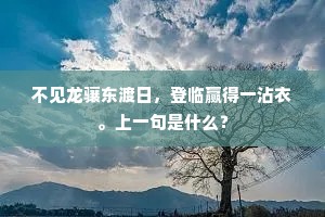 平生学迈师古人，不负堂堂八尺身。全诗是什么？
