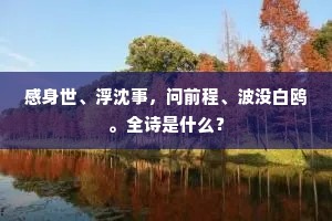 不妨一岁中，来往三江间。下一句是什么？
