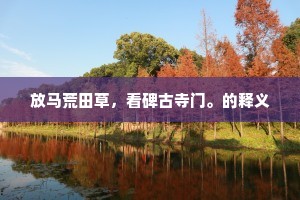 旧识回文谱，新谐远调讴。的意思及出处