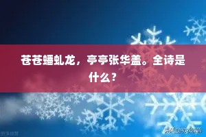 汪汪千顷学黄宪，散积千金羞范蠡。的意思及出处