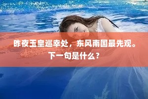 朝收西海群峰茫茫之元气，暮送六龙金车冉冉去西极。的释义