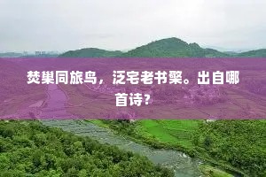 濯露江城岚，合束孤篁梢。下一句是什么？