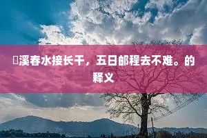 穿越迷雾，以你之光，照亮生命溪流的深邃之旅
