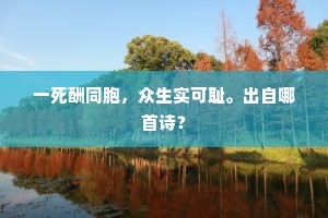 在破碎叙事中寻你，心海深处的不朽诗篇