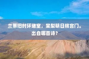 在世界的温柔笔触下，我读懂了你——生命之美的深刻领悟