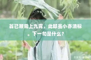 单鹄寡凫的解释