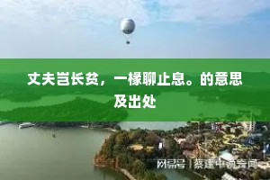 单文孤证的成语解释