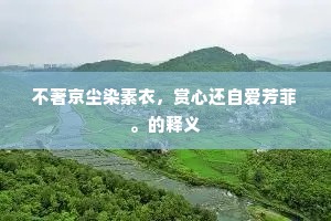 冰山之恋，淡然处世，深情以待的哲思之旅