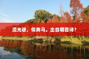 匆嫁之殇，以爱之名，赌上余生的赌注