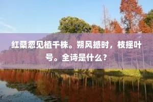 有子端应胜买田，苇间待汝共延缘。上一句是什么？