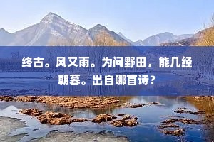 胆小如豆的解释