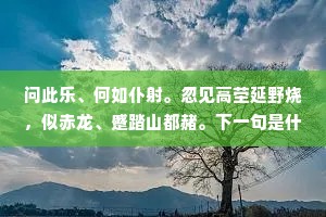 钗横啼笑两不分，历尽风期腰一搦。的意思及出处