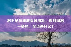 压倒念奴价百倍，兴来奇怪生毫端。下一句是什么？