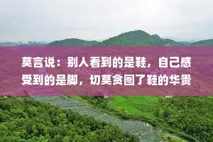 莫言说：别人看到的是鞋，自己感受到的是脚，切莫贪图了鞋的华贵，而委屈了自己的脚。