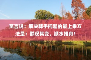 莫言说：解决棘手问题的最上乘方法是：静观其变，顺水推舟！